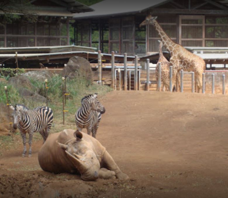 Honolulu Zoo